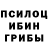 Галлюциногенные грибы прущие грибы thelightcat