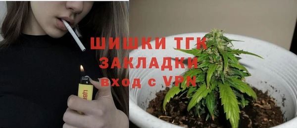 гидра Ладушкин