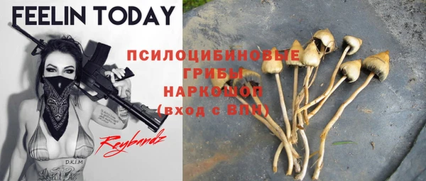 мдпв Лабытнанги