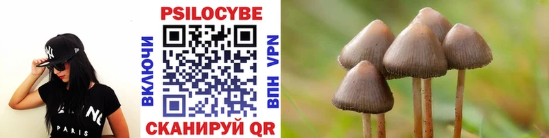 Псилоцибиновые грибы прущие грибы  Новосиль 